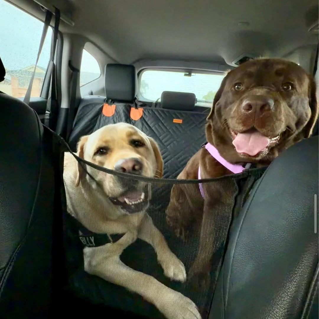 Two dogs riding behind the CleanRide mesh car seat cover